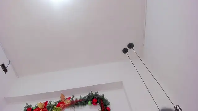 penelope handaos online show from 13, 12, 2024