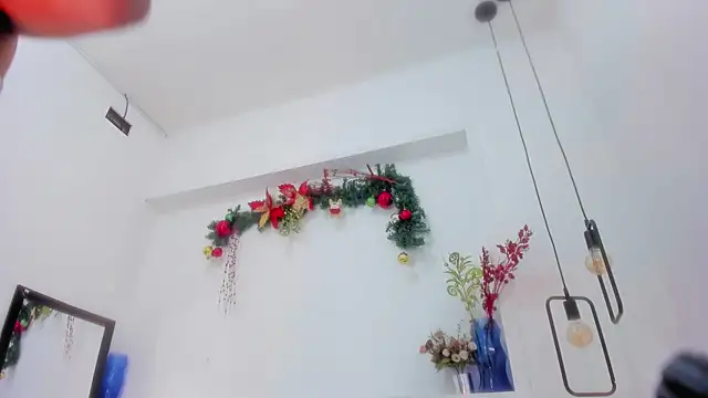 penelope handaos online show from 29, 12, 2024