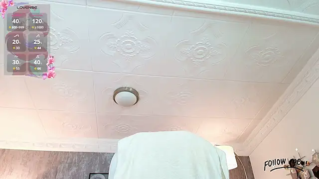 Snapshot of aria_li chatting on 17, 3, 2025 aria li online show from 17, 3, 2025