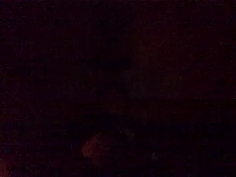 DragonPink online show from 24, 12, 2024