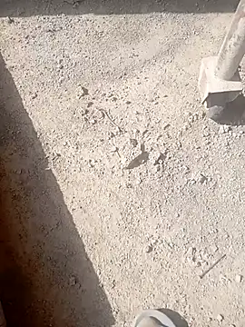 Kurtsikicixh online show from 21, 10, 2025