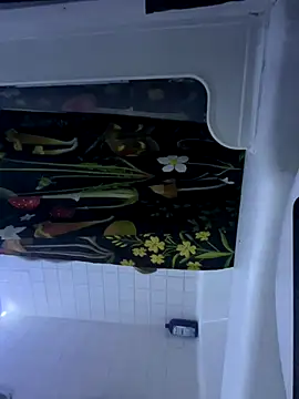 RawRyder8 online show from 18, 11, 2025