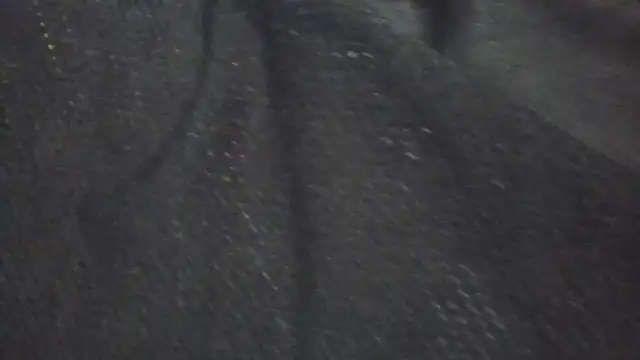 Leonul online show from 24, 3, 2026