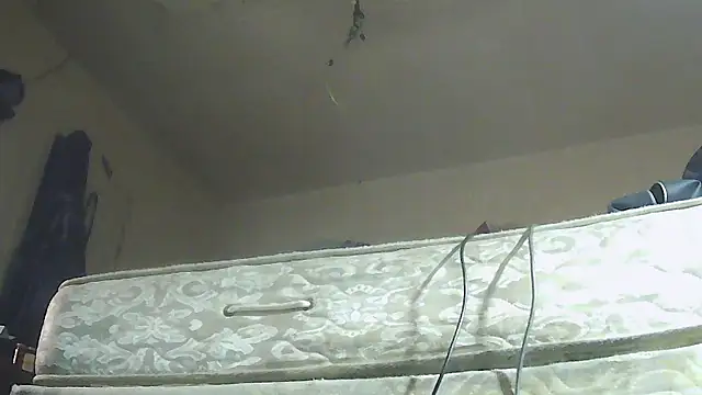 pipeload1275 online show from 13, 1, 2026