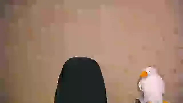  your fantasy girl online show from 21, 2, 2025