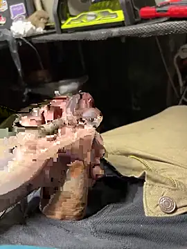 Snapshot of joeycbigcock chatting on 26, 11, 2025 joeycbigcock online show from 26, 11, 2025