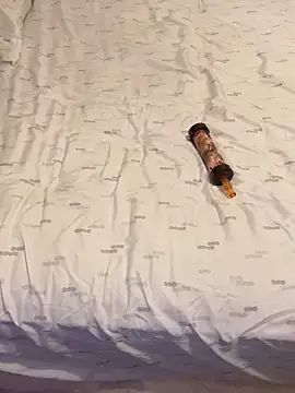 KingDerRico online show from 27, 4, 2026