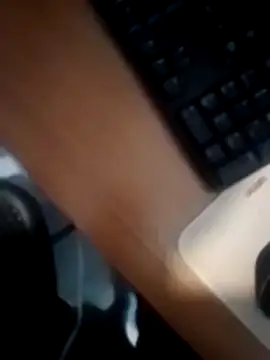 betinhodelas online show from 26, 12, 2024