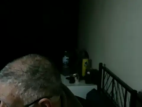 100Tauros online show from 8, 4, 2026