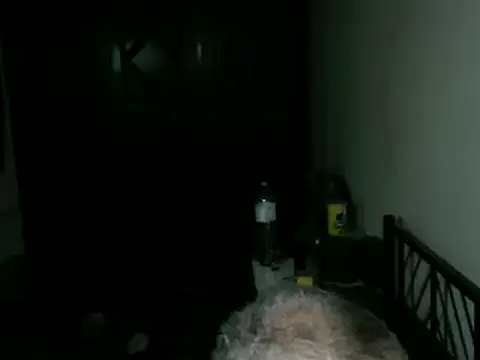 100Tauros online show from 21, 4, 2026