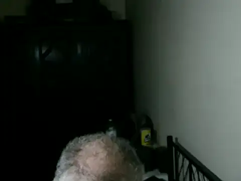 100Tauros online show from 26, 4, 2026