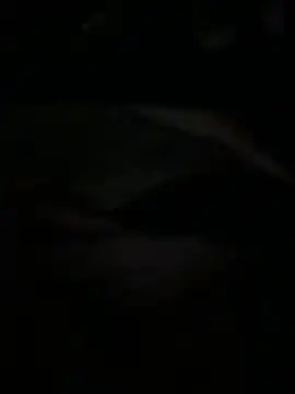 Ariel Ari online show from 1, 2, 2026