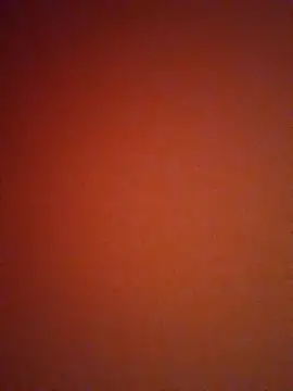 mendelicius online show from 11, 1, 2025