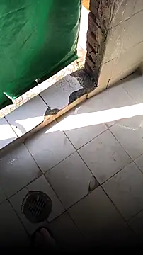 mendelicius online show from 15, 2, 2026