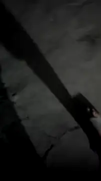 mendelicius online show from 5, 3, 2026