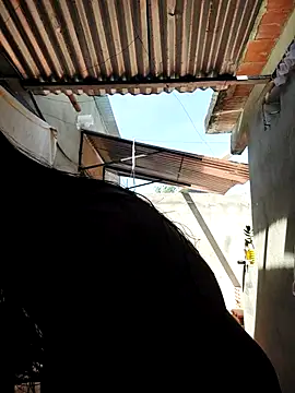 room 24funn online show from 9, 10, 2025