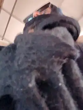 Morphine 666 online show from 7, 3, 2026