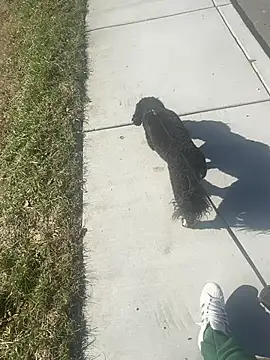 Snapshot of Esauhot chatting on 24, 2, 2025 Esauhot online show from 24, 2, 2025