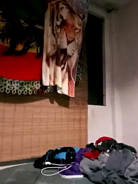 LECHEBALLS online show from 29, 1, 2025