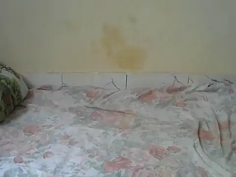 Snapshot of Zenath_ chatting on 27, 2, 2026 Zenath online show from 27, 2, 2026