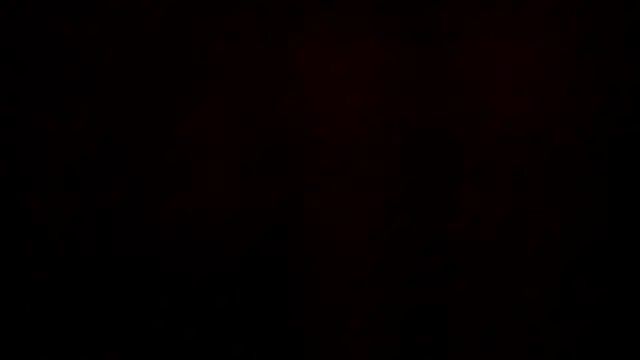 leatherz69 online show from 21, 12, 2024