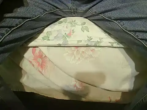 Tiger202441 online show from 25, 12, 2024