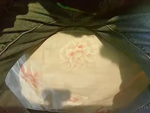 Tiger202441 online show from 30, 12, 2024