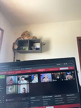 Lilyassjdhz online show from 28, 4, 2026