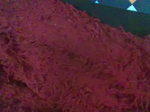 Snapshot of RoxiRedXXX chatting on 11, 1, 2025 RoxiRedXXX online show from 11, 1, 2025