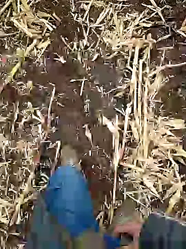 murokkk31 online show from 5, 1, 2025