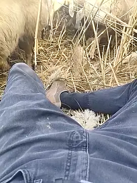 murokkk31 online show from 29, 10, 2025