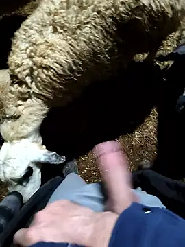 murokkk31 online show from 9, 1, 2026