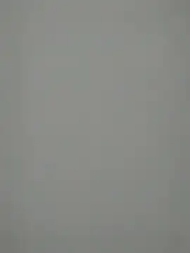 Snapshot of TheSouthernKing chatting on 27, 12, 2024 TheSouthernKing online show from 27, 12, 2024