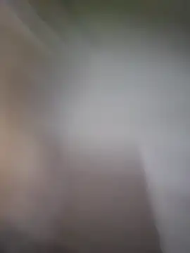 Snapshot of TheSouthernKing chatting on 22, 11, 2025 TheSouthernKing online show from 22, 11, 2025