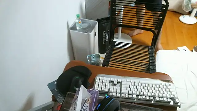 Stellan 0412 online show from 13, 2, 2026