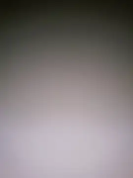 Dorset8360 online show from 10, 1, 2025