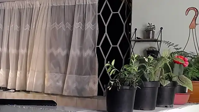 peyton golden1 online show from 16, 1, 2025