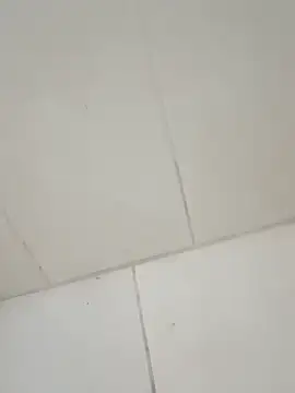 Snapshot of taradobbsafadok chatting on 1, 12, 2025 taradobbsafadok online show from 1, 12, 2025