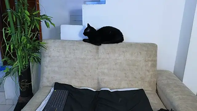 Lorenne Miller online show from 22, 4, 2026