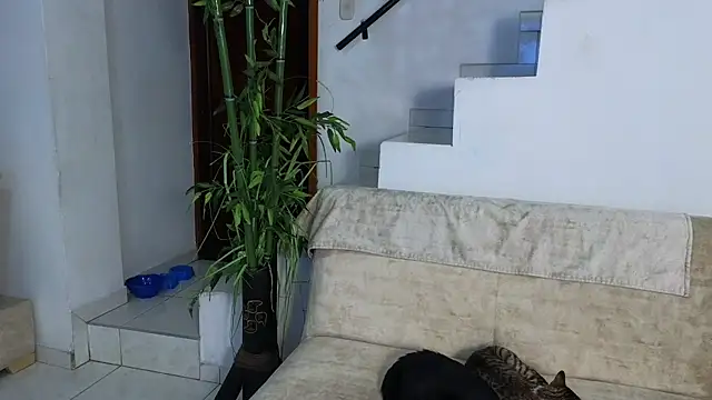 Lorenne Miller online show from 25, 4, 2026