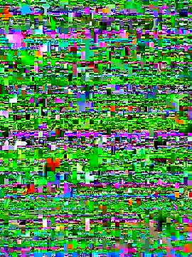 Snapshot of bad-boy-2002 chatting on 5, 10, 2025 bad-boy-2002 online show from 5, 10, 2025