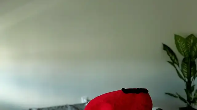 Sapphir3xoxo online show from 24, 9, 2025