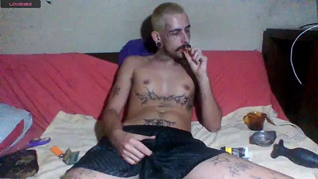 sellvageria online show from 25, 4, 2026