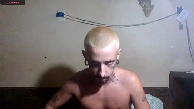 sellvageria online show from 27, 4, 2026