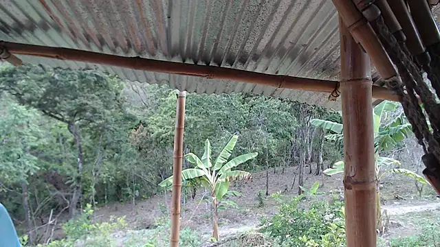 andreu mature online show from 9, 10, 2025