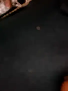 5g4ever online show from 25, 3, 2026