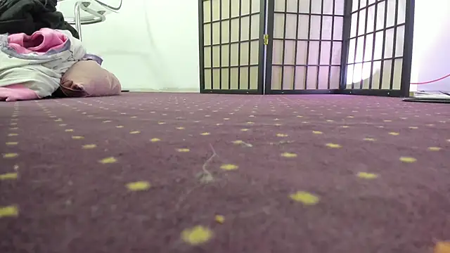 AishaRouhi online show from 28, 4, 2026