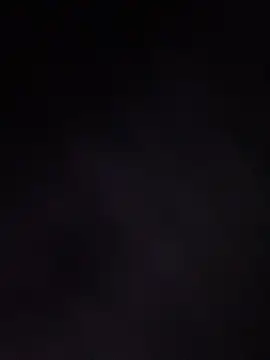 Lalalynn online show from 1, 3, 2026