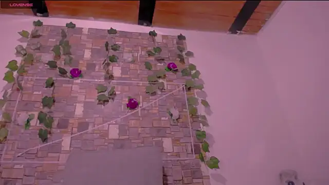 CrazyRousex online show from 4, 3, 2026