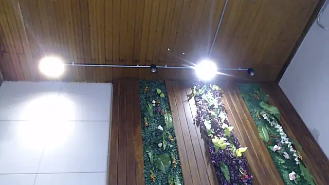 DrakeNeumann online show from 5, 2, 2025